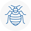 Bed Bug Extermination In Brecon